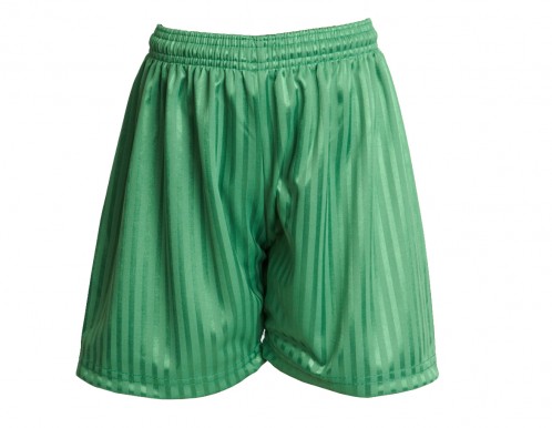 Emerald Green Shadow Stripe Football Shorts (7210-ELD)